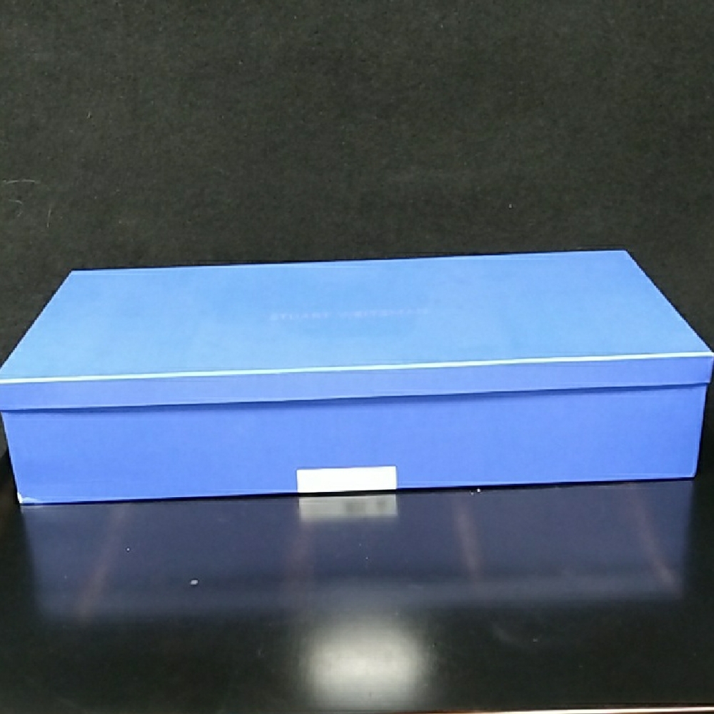 Stuart Weitzman Blue Boot Box for Alina City